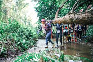 BIB: 
                            <button type="button" onclick="openModal(25471990)" class="btn btn-primary btn-sm float-right btn-popup" data-toggle="modal" data-target=".modal-high-quality">
                        <i class="fas fa-shopping-cart"></i> Add to Cart
                    </button>
                                            <button type="button" onclick="isThisMe(25471990, true)" class="btn btn-success btn-sm float-right btn-popup btn-isme hidden" data-toggle="tooltip" data-placement="bottom" title="นี่คือรูปของคุณใช่ไหม คลิกที่นี่เพื่อเอาเข้าอัลบั้ม">
                        <i class="fas fa-plus"></i> Add to album
                    </button>
                    <button type="button" onclick="isThisMe(25471990, false)" class="btn btn-warning btn-sm float-right btn-popup btn-isnotme hidden">
                        <i class="fas fa-ban"></i> Remove from album
                    </button>